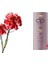 Karanfil Özlü Saç Kremi 350 ml 1