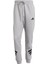 Sportswear JD4867 Future Icons 3-Stripes Eşofman Altı 3