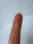 Hızma Top Gümüş Renk 1,5 mm Tek Adet 5