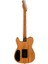 Limited Edition Acoustasonic Player Telecaster Gülağacı Klavye Sea Foam Green Elektro Akustik Gitar 2