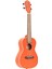 Earth Series Okoume Concert Ukulele (Pumpkin Orange) 1