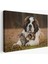 St. Bernard Köpek ve Yavru Kediler Dekoratif Kanvas Tablo 1124 1