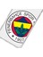 Apple iPhone 15 Pro Fenerbahçe Büyük Logo Şeffaf Telefon Kılıfı 3