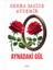 Aynadaki Gül - Zehra Sacide Aydemir 1