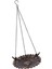 Hanging Kuş Banyosu Dekorasyon Kuş Besleyici Dışarıda Papağ Için (Yurt Dışından) 5