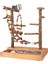 Shabebırd Small Papakeets I Parrot Bird Playground Play Sandalyası (Yurt Dışından) 1