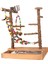 Shabebırd Small Papakeets I Parrot Bird Playground Play Sandalyası (Yurt Dışından) 3