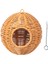 Kuş Papağan I Alabilen Ispinozlar Için Standı Conures (Yurt Dışından) 1