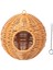 Kuş Papağan I Alabilen Ispinozlar Için Standı Conures (Yurt Dışından) 3