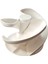 Yumurta Dispenser Modern Mutfak Depolama (Yurt Dışından) 2