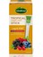 Tropik Meyveli Stick Çay 20'li 2