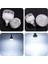 50W Kristal Torch Ampul 1