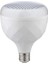 50W Kristal Torch Ampul 2
