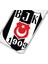 Apple iPhone 16 Pro Beşiktaş Büyük Logo Şeffaf Telefon Kılıfı 3