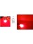 T10 LED 5W Red Crystal Dipsiz Ampul Cob LED Kristal Cam Kırmızı 1