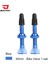 40MM Mavi 1 Çift Stili Bolany 1 Çift Bisiklet Valf Mtb Yol Bisikleti Uzatma Valfi Tüpsüz Vakum Nozulu Alüminyum Alaşım Sızdırmazlık Aksesuarları (Yurt Dışından) 1