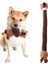 Hayvan Oyuncakları Isırmaya Da Lı Ses Molar Köpek Oyuncakları Uzun Pet Köpek Oyuncakları (Yurt Dışından) 1