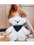 Peluşçu Dayı Fularlı Beyaz Peluş Ayıcık Sevimli ve Yumuşak Büyük Oyuncak Ayı 1
