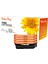 Better Day BHP-CF331A/654X/654A C 1