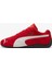 Speedcat Og.02 3