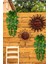 Yapay Çiçek Sarkan Lüx Okaliptus Yapay Sarmaşık 60 x 25 cm 2
