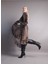 Leopar Desenli Şifon Elbise 2