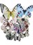 Karışık Renkli Kelebek Dekor Süs Mıknatıs ve Stickerli 12 Adet 1