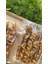 Cevizli Sucuk 500 gr 2