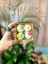 -Makaron Mum - Hediyelik Dekoratif Mum - Macoron Mum - Soya Wax - Vegan - Pudra Kokulu Mum 2