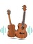 TN-26MC Set Maun Tenör Ukulele (Softcase Tuner Capo Metod Nota Sticker Askı Pena) 3