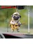Gitarlı Pug 2 Boyutlu Akrilik Dikiz Aynası Süsü 8X6CM 3