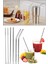 Metal Pipet - Paslanmaz Çevre Dostu Metal Pipet Fırça Seti 5 Parça 1