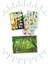 Ilk Kitaplığım Türkçe Ingilizce Temel Kelimeler Kitapları 6 Kitap 1.set 10,5X15CM 1