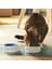 2 Adet Mama Kabı Çap: 11 cm Ikea 2'li Set Kedi Köpek Yemek Su Kabı Desenli Kap Stoneware 2