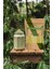 Moringa Tozu 25 gr 2