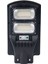 Bahçe Sokak Aydınlatması - LNA8002 - 100W 1