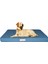 Mavi Kedi-Köpek-Yatak-Minder-Mat-Medium 1