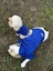 Sweety Sweatshirt 2