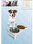 Kedi ve Köpekler Için Sağlıklı Yeme Standı, %10 Eğimli Tasarım ve Kaymaz Ayaklar 2