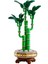 Nessiworld LEGO Botanicals Şans Bambusu 10344 1