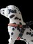 Köpek göğüs tasması orta ırk kolon deri göğüs ölçüsü:40-80cm ayarlamalı dog harness GT2-33 4