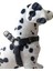 Köpek göğüs tasması küçük ırk kot paracort örgülü göğüs ölçüsü:30-60cm ayarlamalı dog harness GT2-35 4