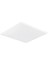 Phılıps 919933023801 RC048B LED32S/840 Psu 60*60 Plastik Gövdepanel LED 1
