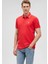 Erkek Şerit Detaylı Kırmızı Polo Tişört 066039-33203 2