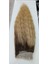 Yarımay + 2 Yan 200 gr 65-70 cm Gerçek Saç Çıtçıt Dip Kumral Alt Platin Renk 3