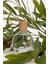 Kadın Defacto Zeytin Çiçeği Çiçeksi 50 ml Parfüm D4090AXNS 2