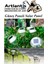 Güneş Paneli Solar Panel 8x4 cm 3 Volt 100 Ma 3 Adet Güneş Enerjisi Okul Sınıf Deney Çalışmaları 80X40 mm 3
