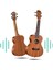 SP-21M Set Maun Soprano Ukulele (Softcase Capo Metod Nota Sticker Askı Pena) 3