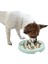 Köpekler ve Kediler Için Yavaş Yemek Kasesi Pet Dökülme ve Boğulma Önleyici (Yurt Dışından) 1