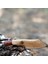 Kam B10 - 4116K Çelik - Turuncu G Micarta Kabza - Sabit Bıçak 4